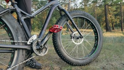 fat bike seat