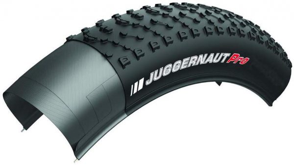 best studded fat bike tires 2020