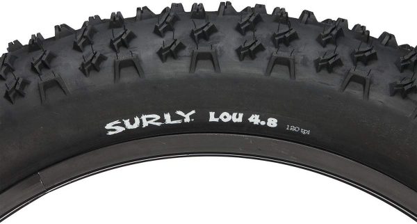 best fat bike tires for snow