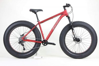 best fat bike under 2500