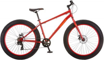 best budget fat bikes 2020