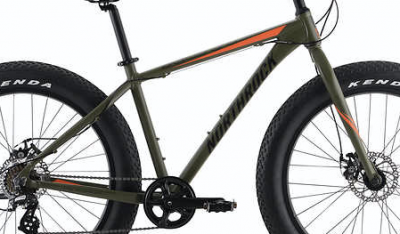 costco fat bike 2020