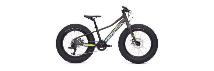 specialized fatboy 2021